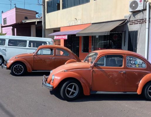 Foto - Encontro de Carros Antigos